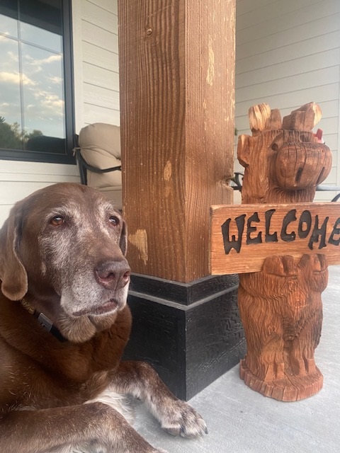 Why Hire BNL Property Management